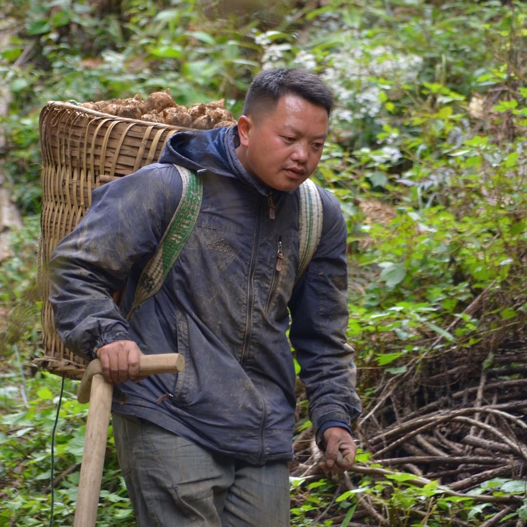 大山野人