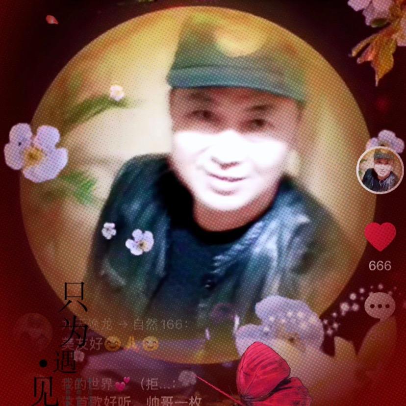 九天逸龙