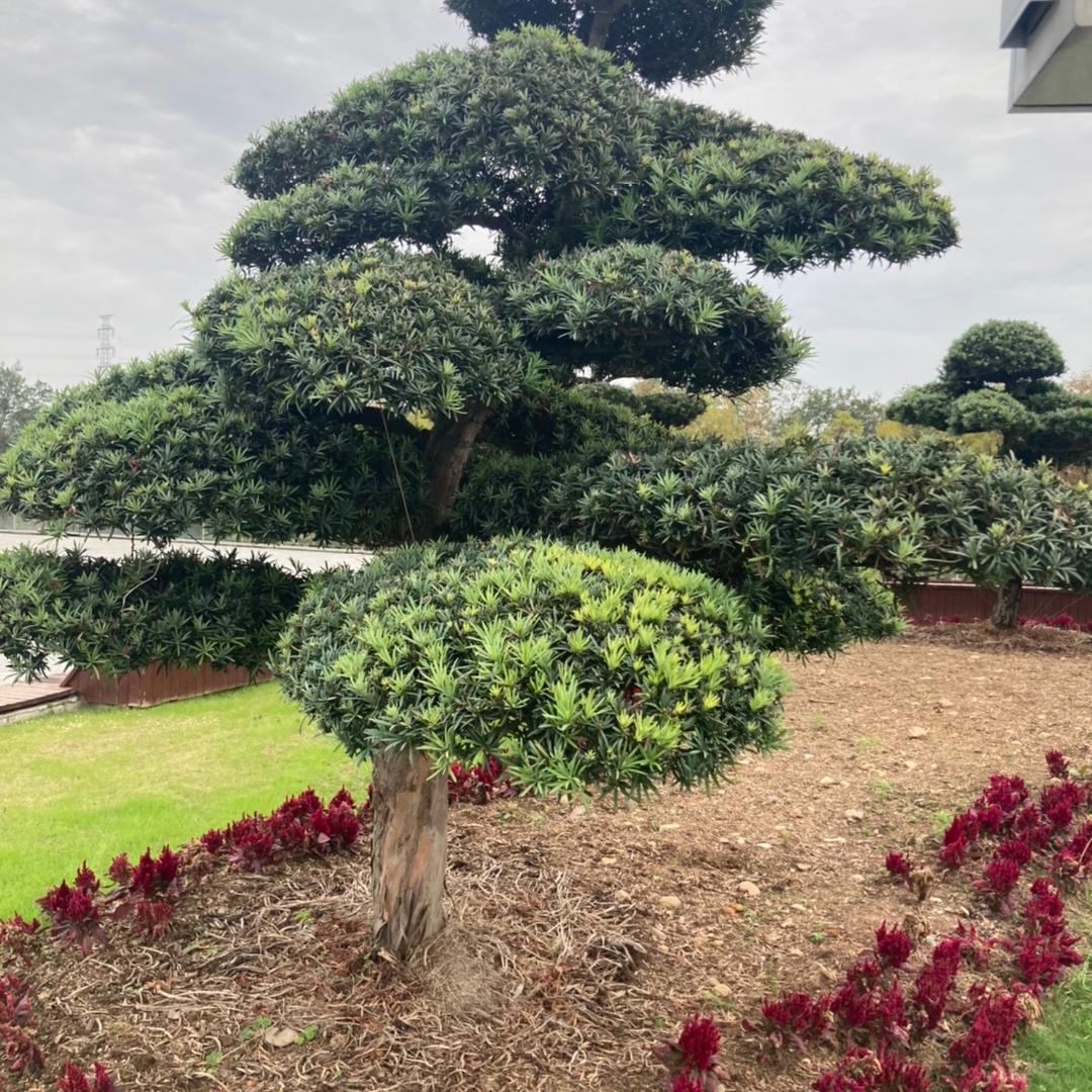 玉山补漆修瓷砖、入户门改色