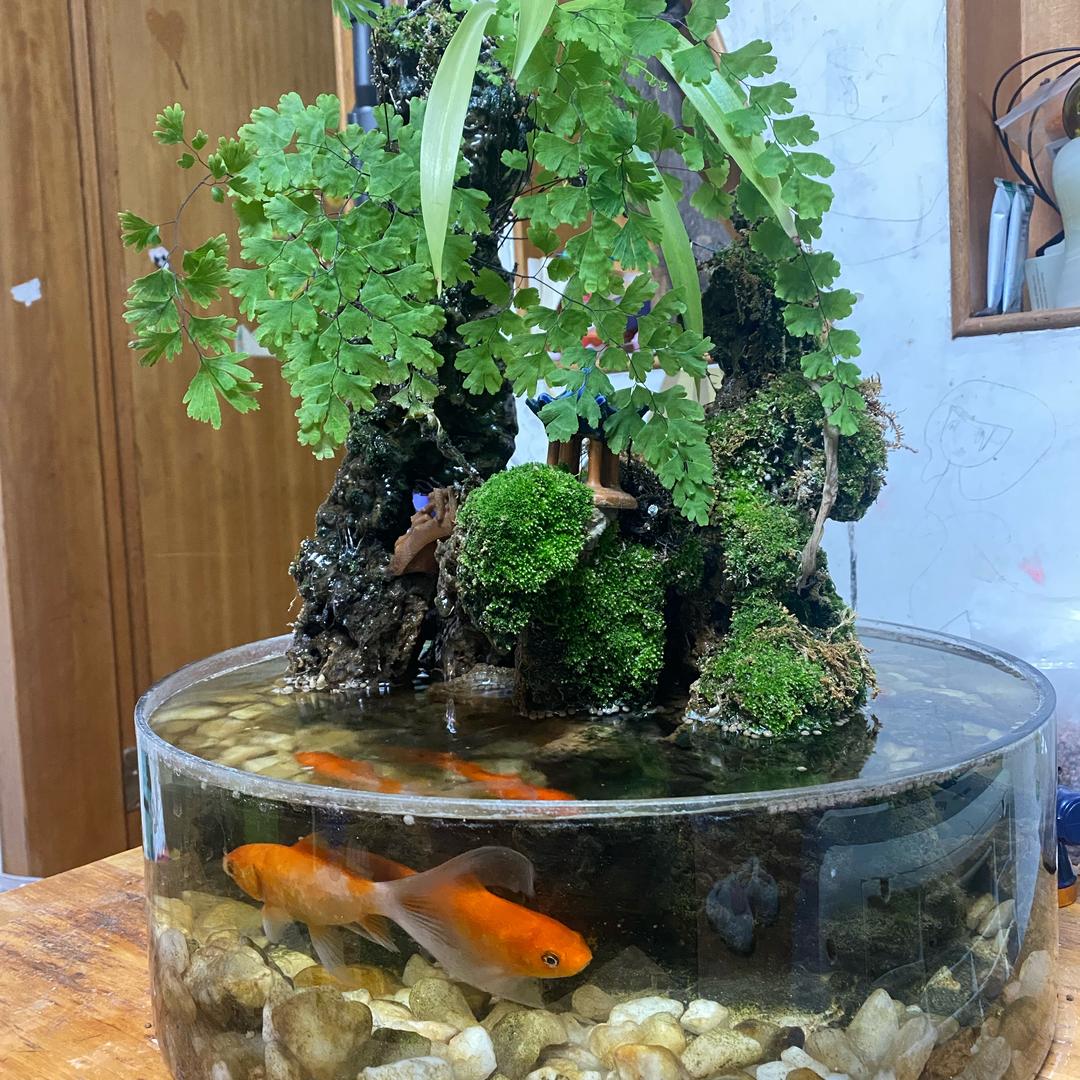 金锡溪