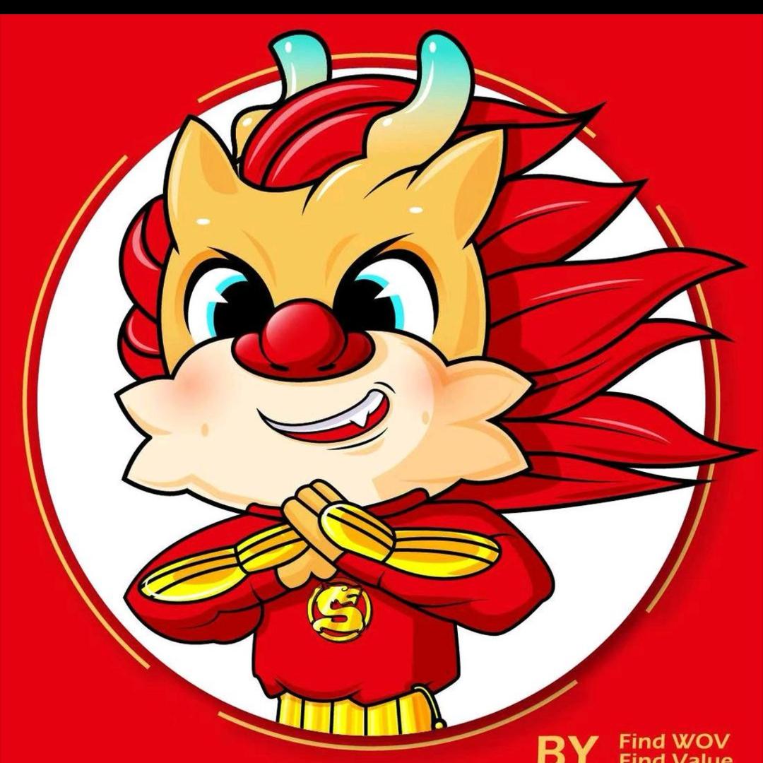 圣龙武术王老师