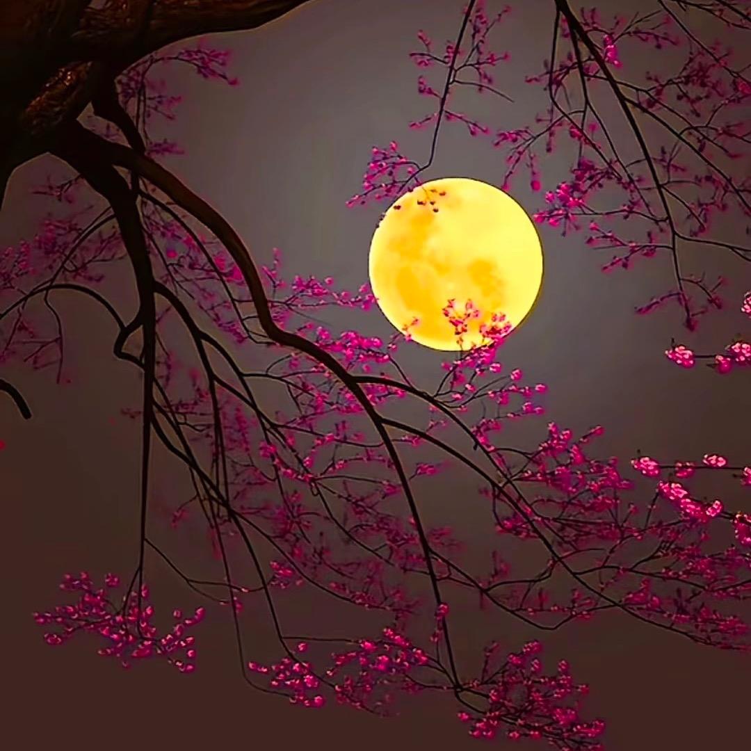 ‘’張：驰有度、