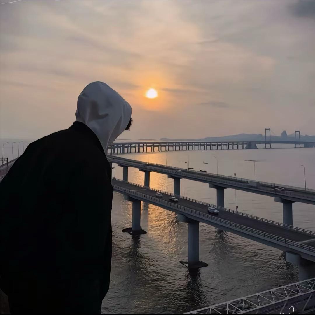鲨鱼不吃你