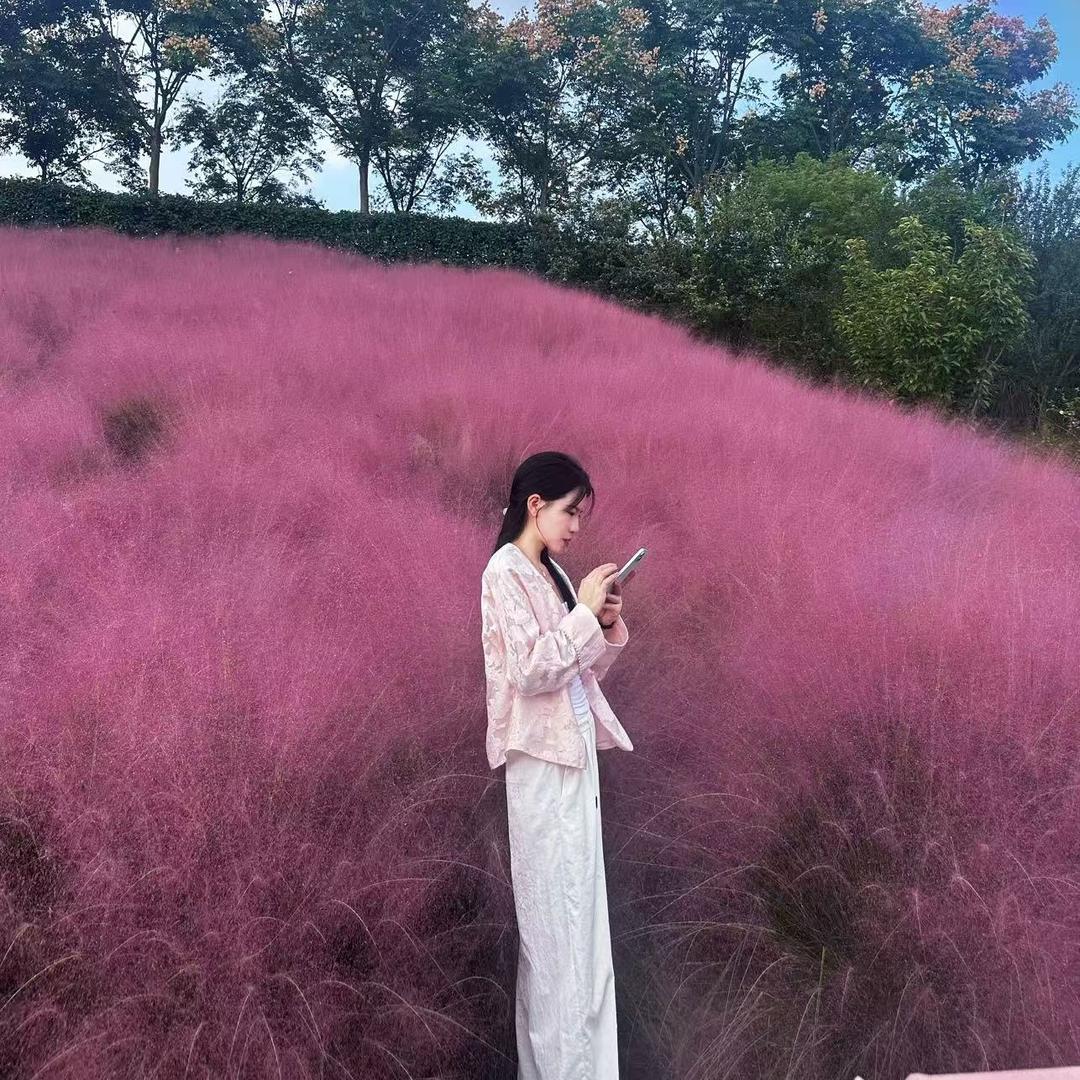 梨涡圆点ᵃ