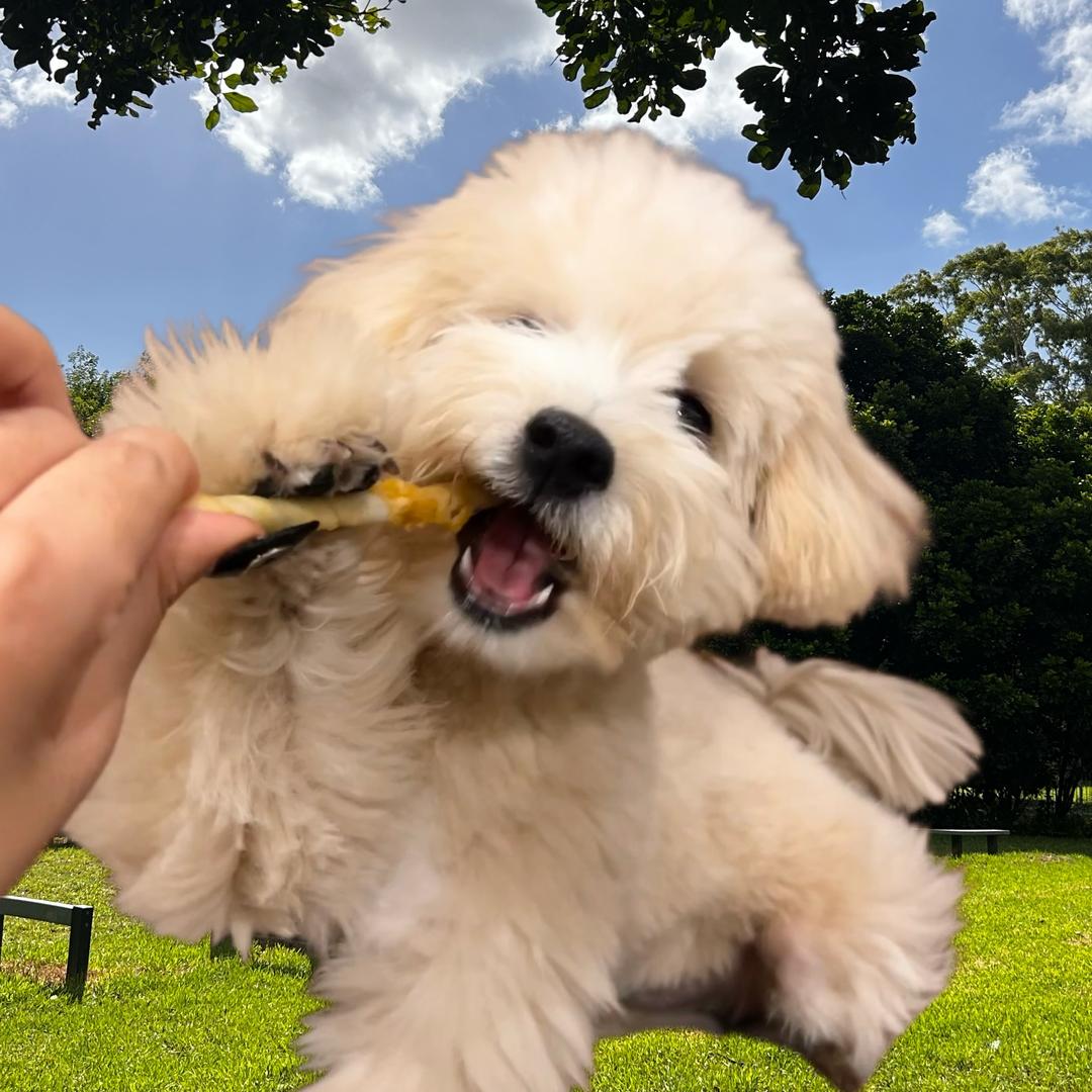 摸摸呱头