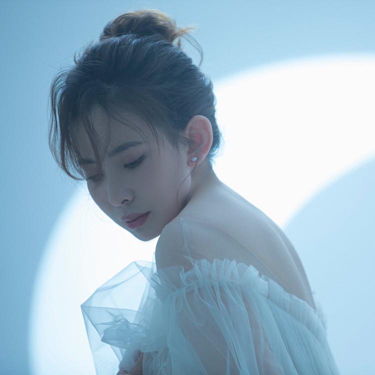 不吃香菜的杨老师