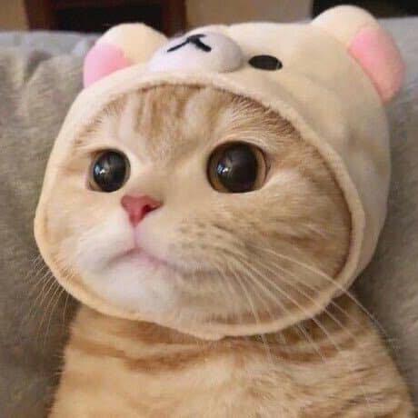 煲剧喵（韩剧推荐）