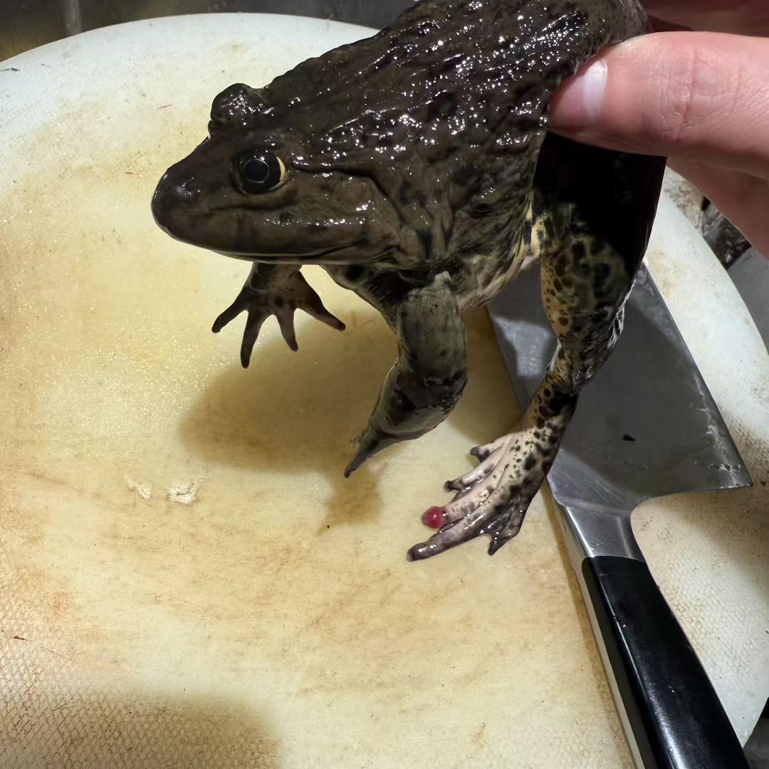 小哥