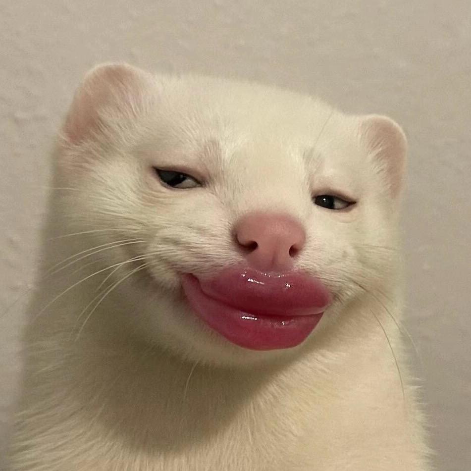 ᥫᩣ⁺¹⁰⁰