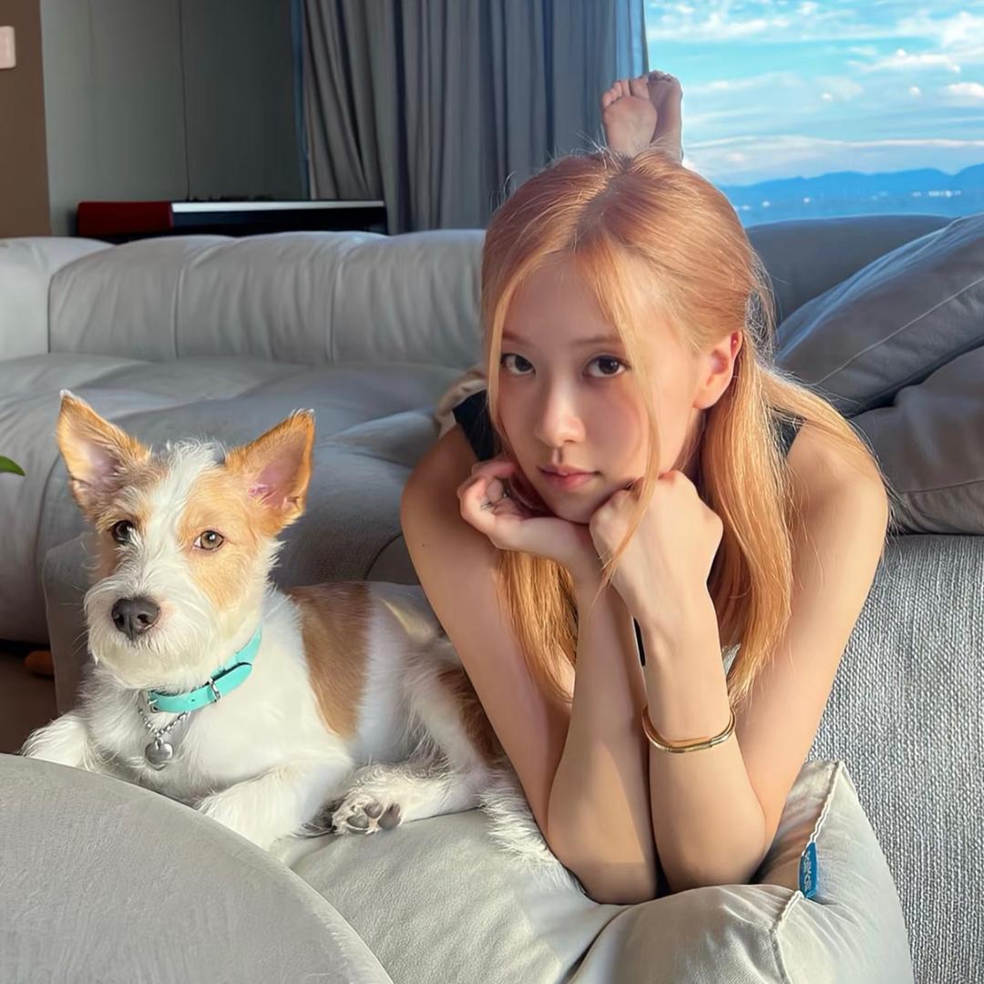 小0不灵