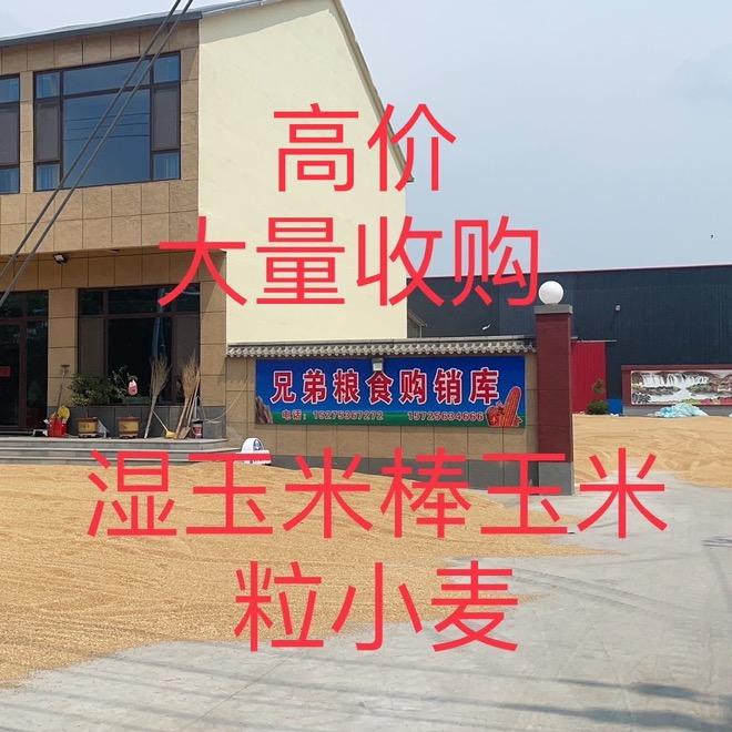 兄弟粮食购销