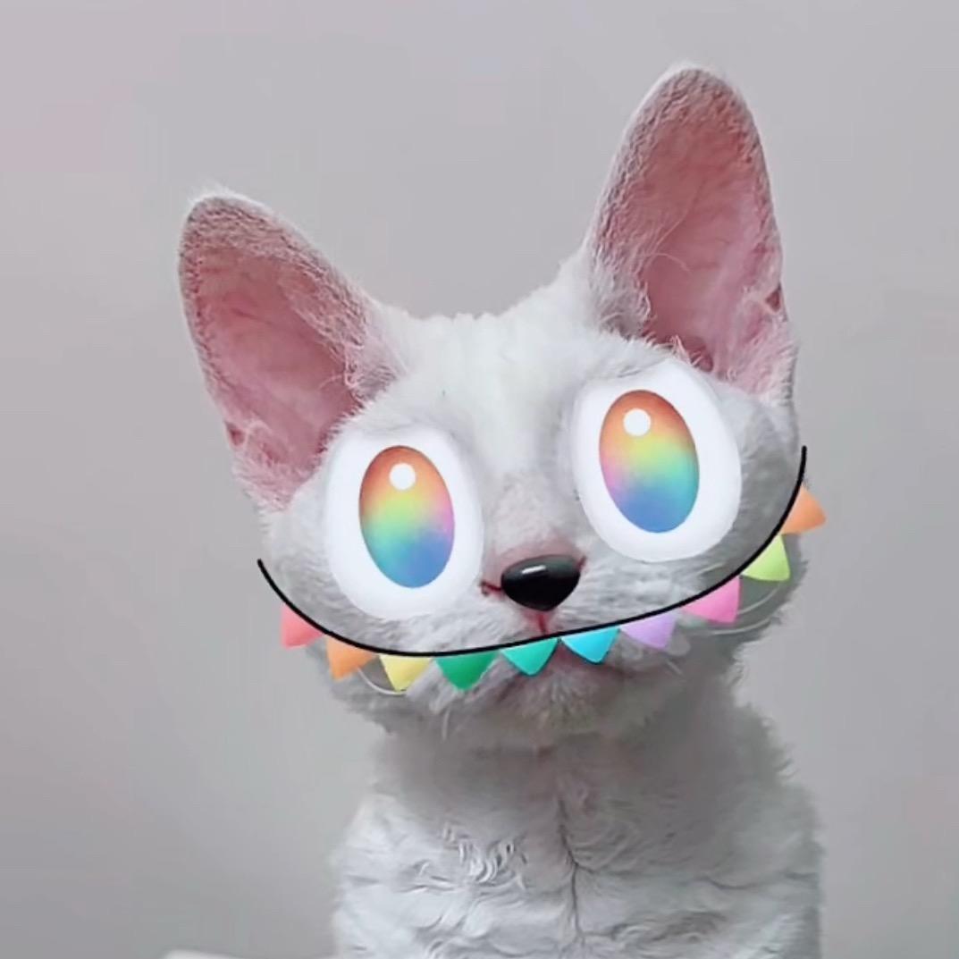 来财宠物圈🧶