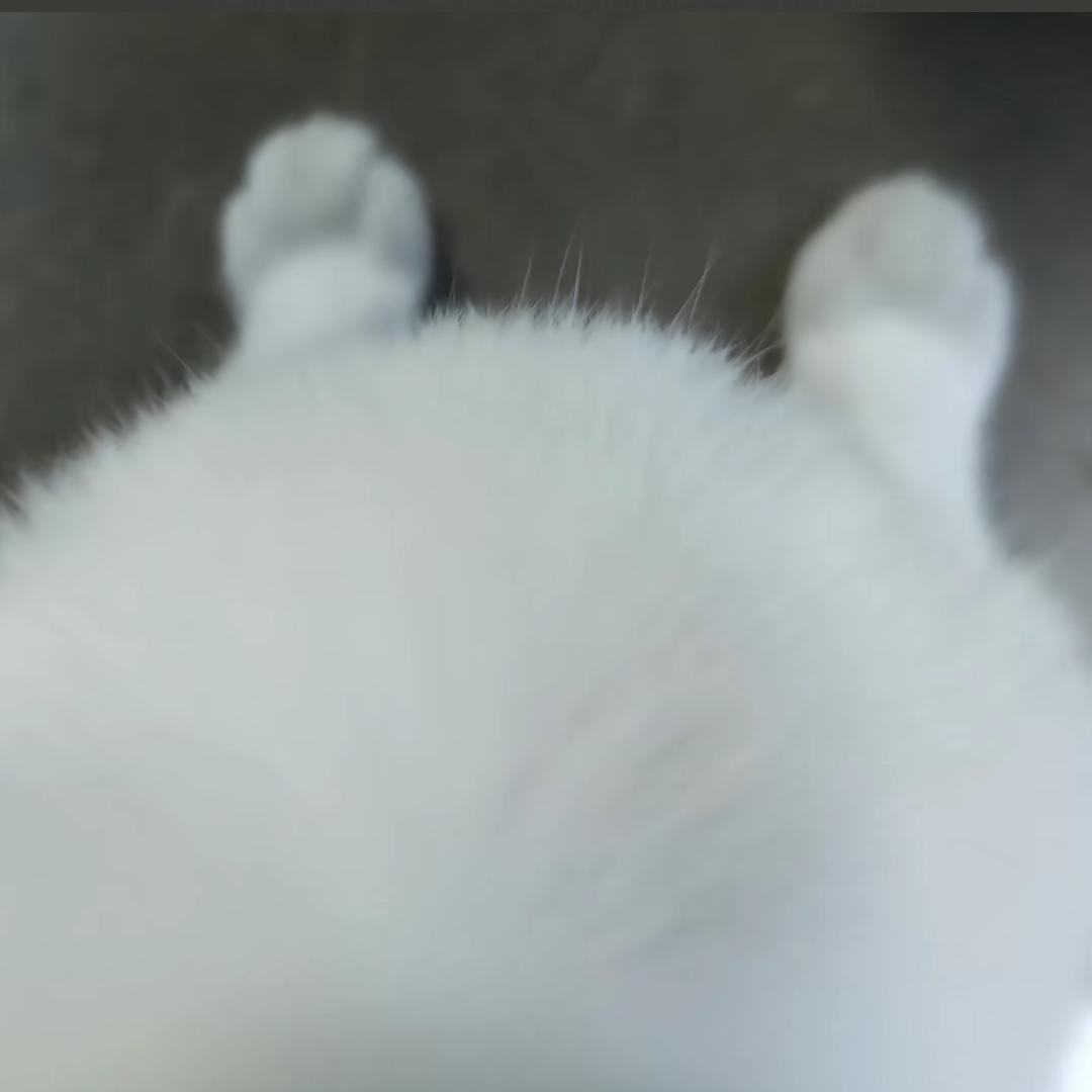 我吃饱的时候不饿