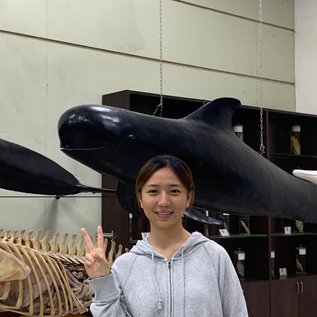 快乐小孩（发疯版）