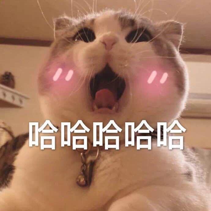 张果果诶