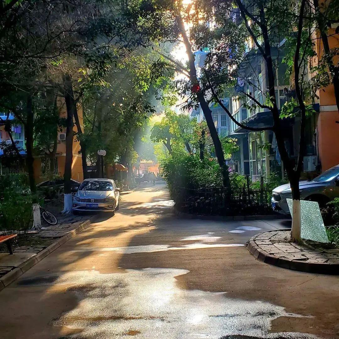 华东区龙牌乳胶漆.粉料.瓷砖胶