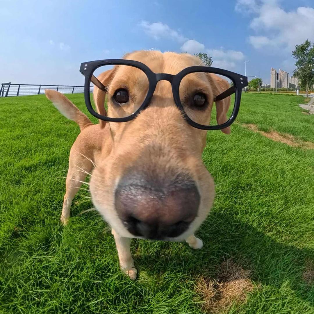 超级无敌废话大王