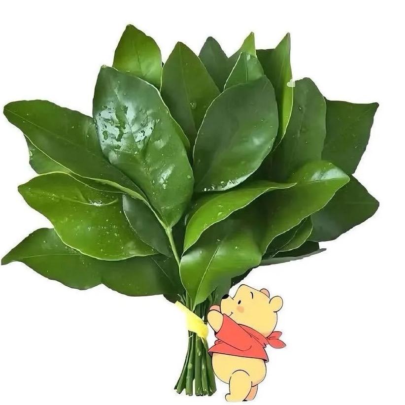 是c