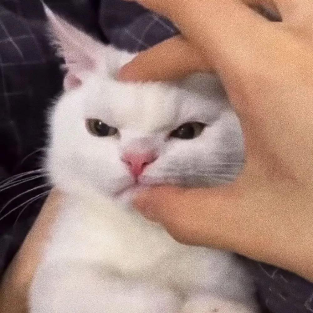 别怕我伤心