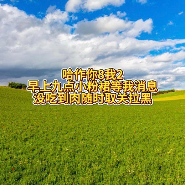 不行不行不到你那方便