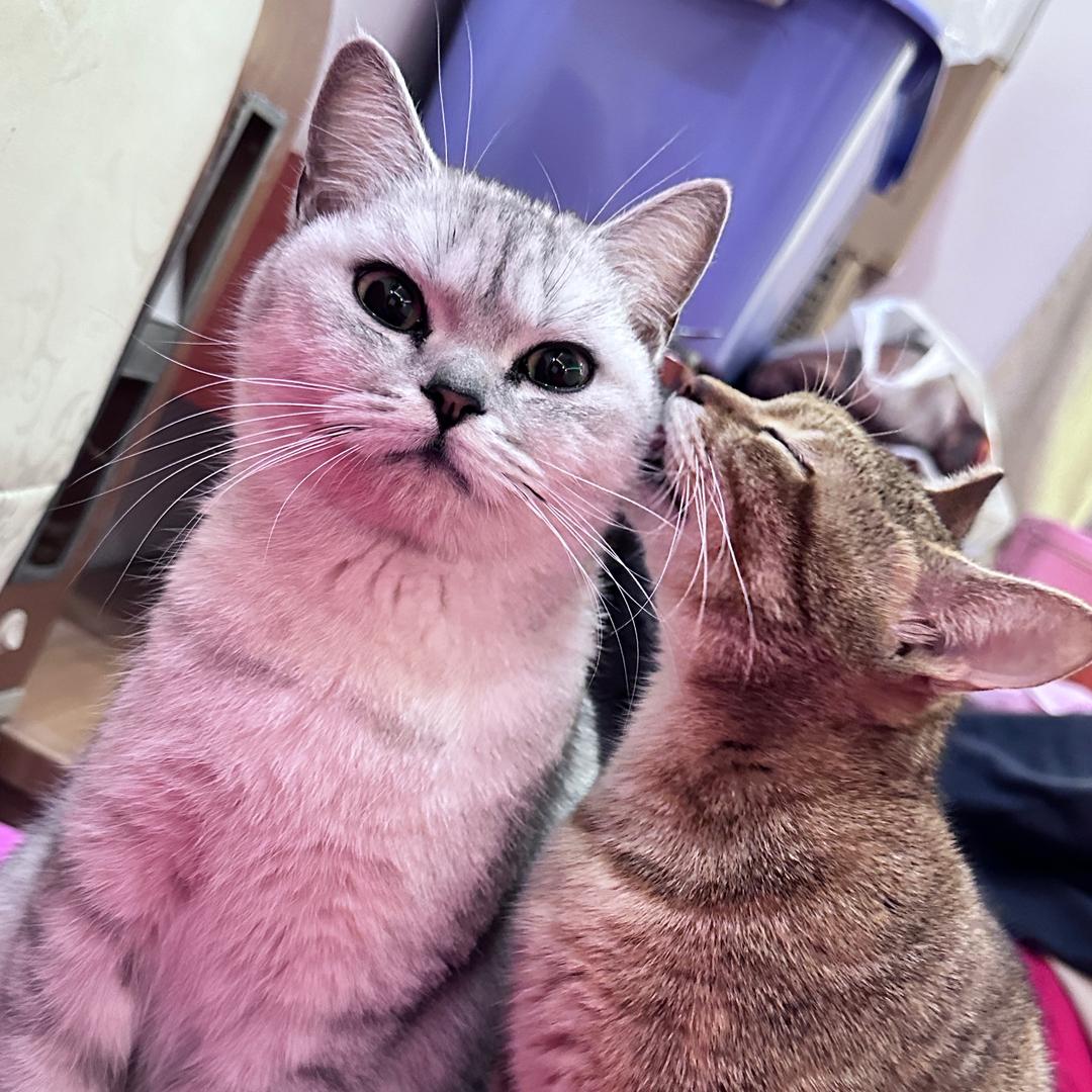 瓶子🏺