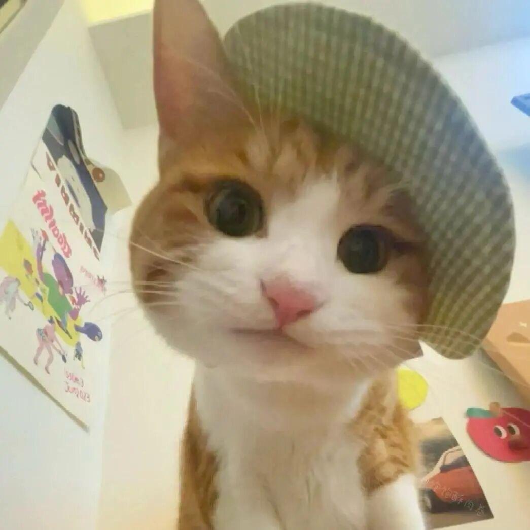 小宝的专属服装店1