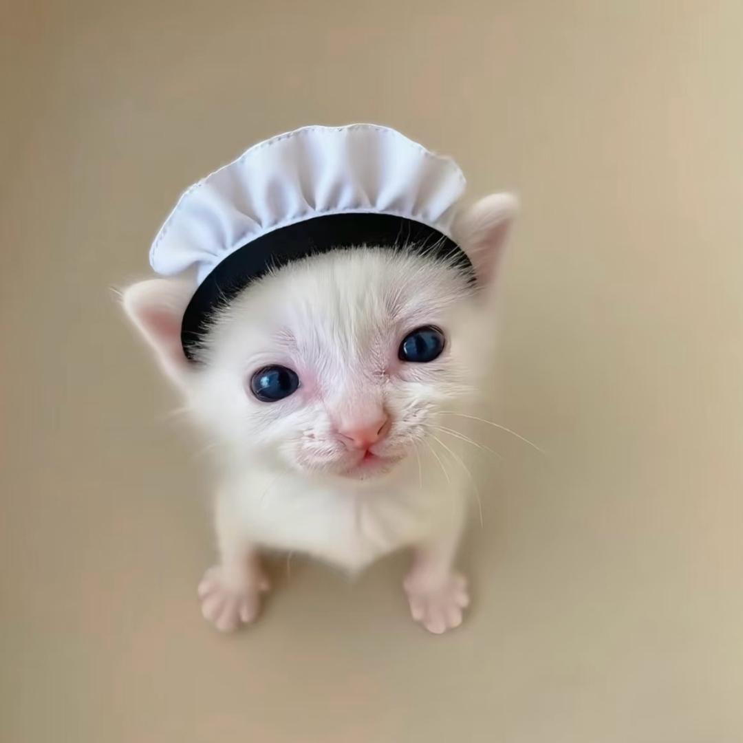 飞飞𝐎𝐟𝐟𝐢𝐜𝐢𝐚𝐥