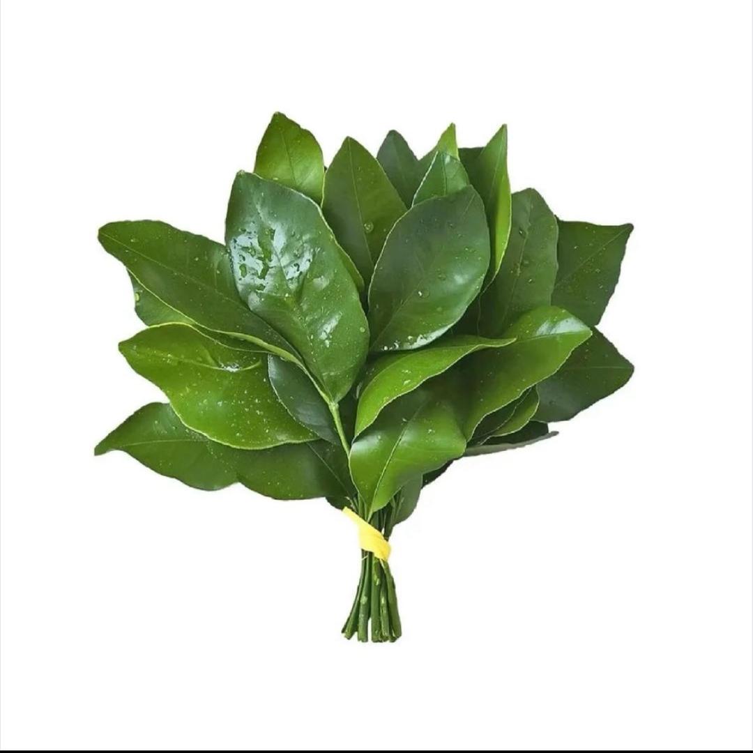 静静莫慌
