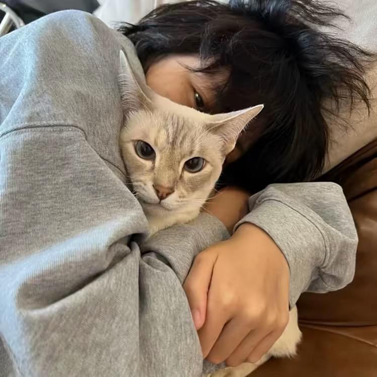 今晚把你们豆沙了