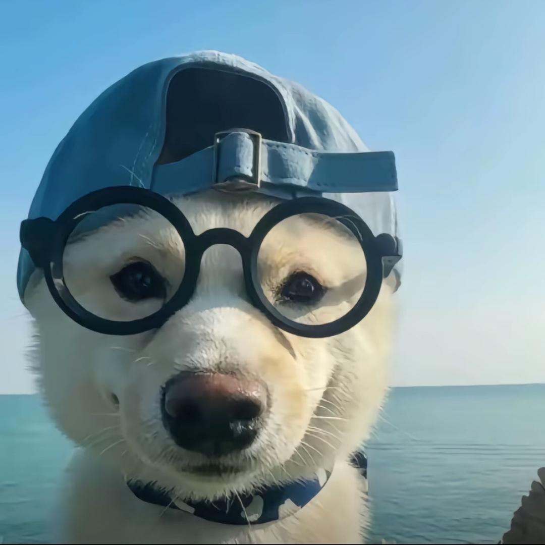 .。