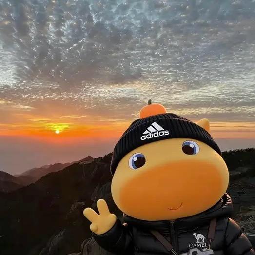 小侠