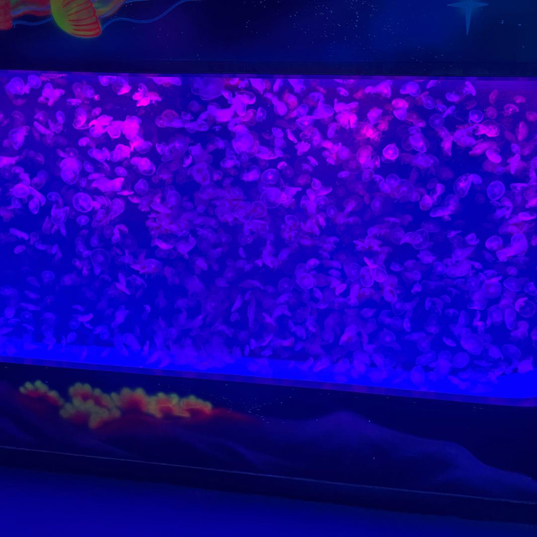 用户434365