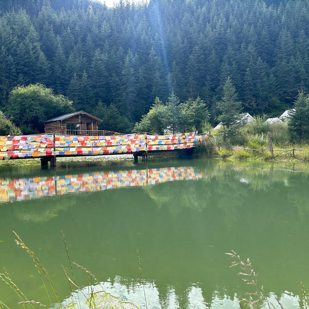 象雄营地⛺️KK
