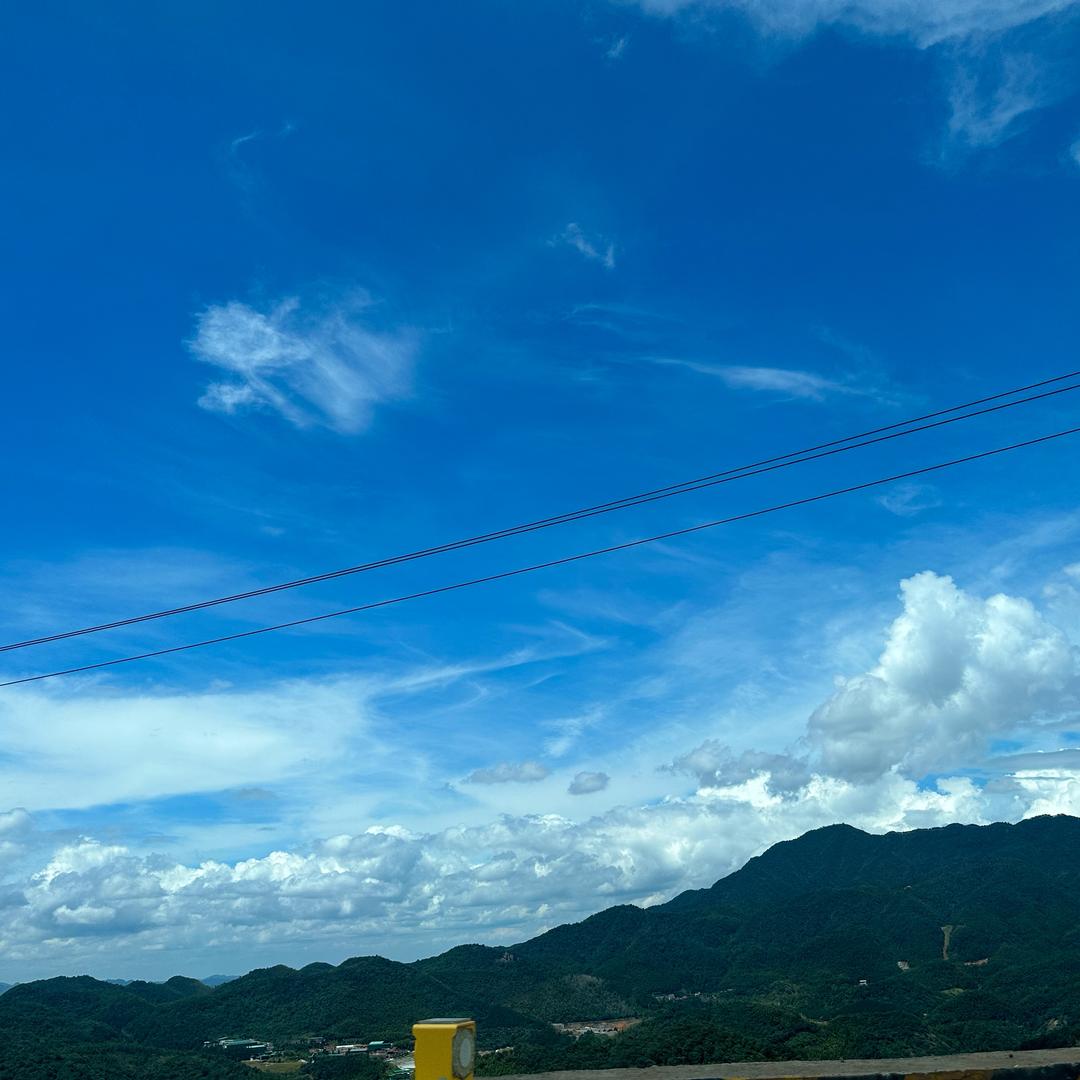 卿尘