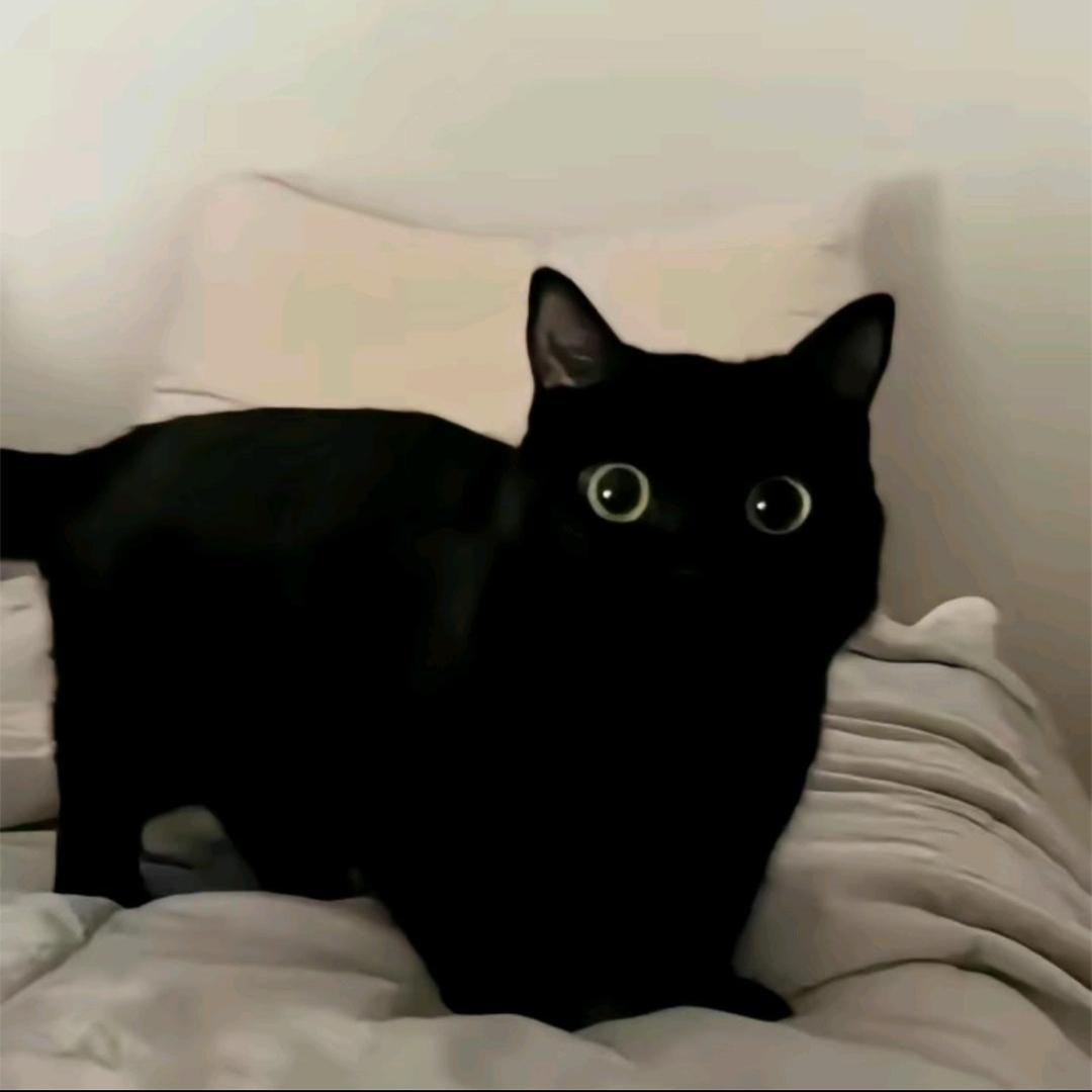 温柔视角