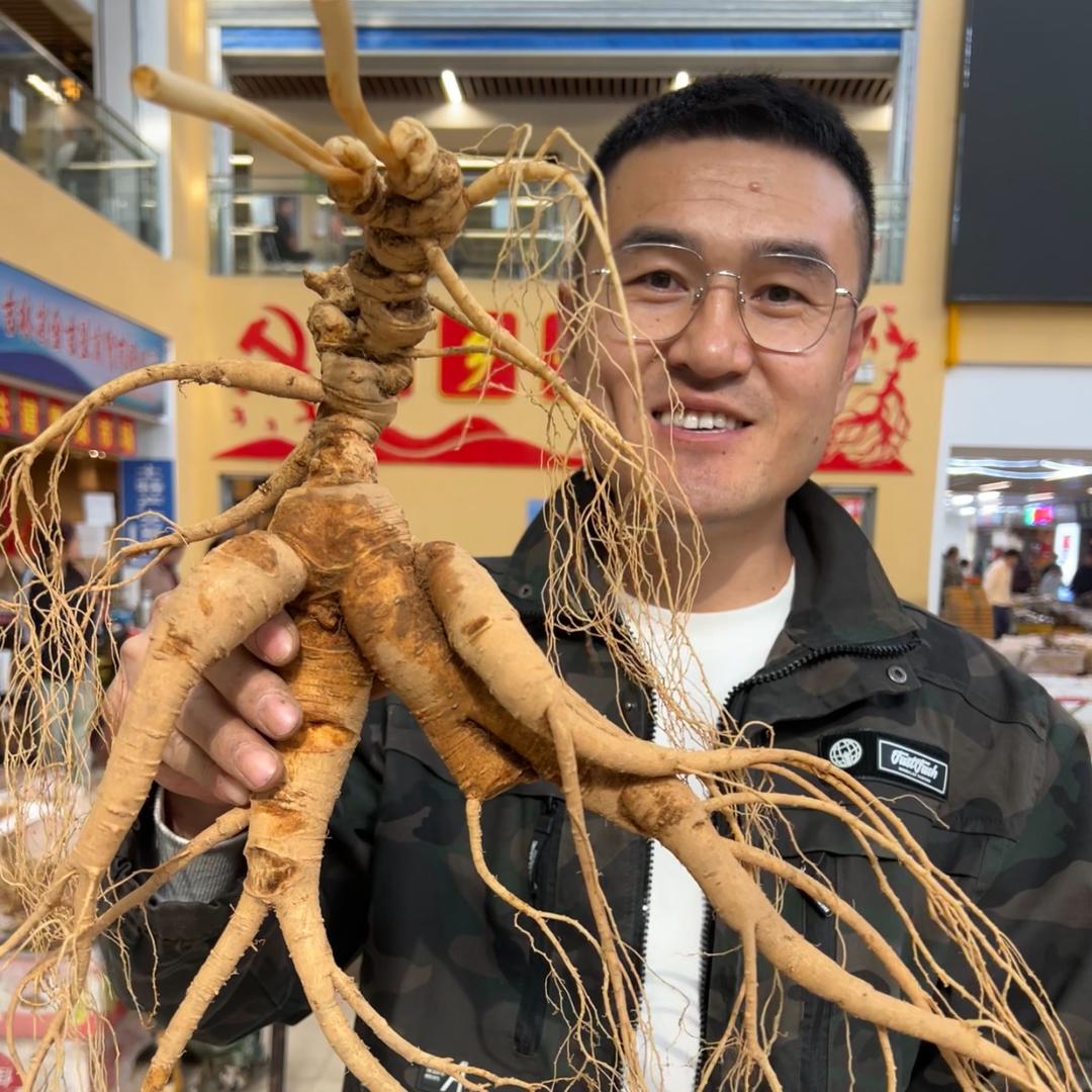 长白山林下参再回手
