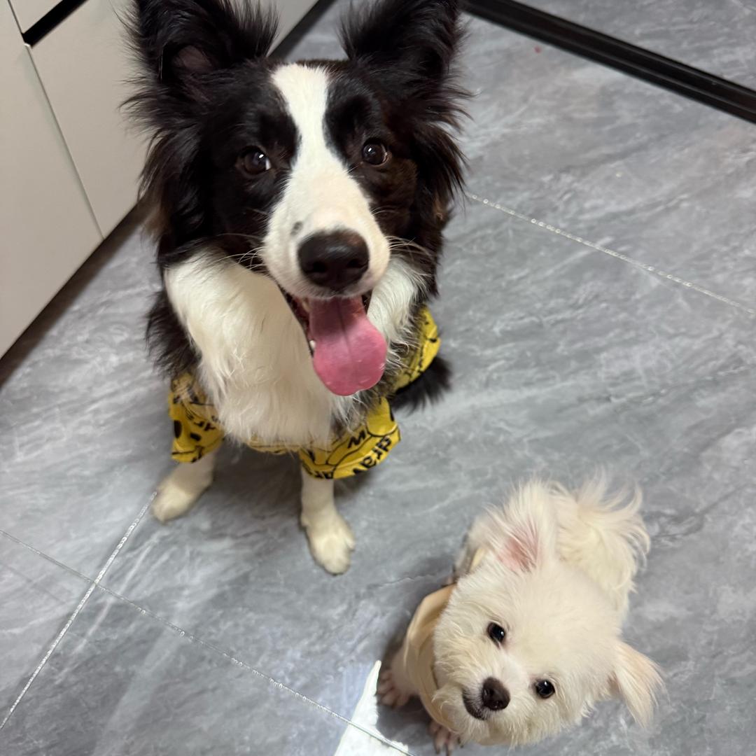 八方来财 平安喜乐