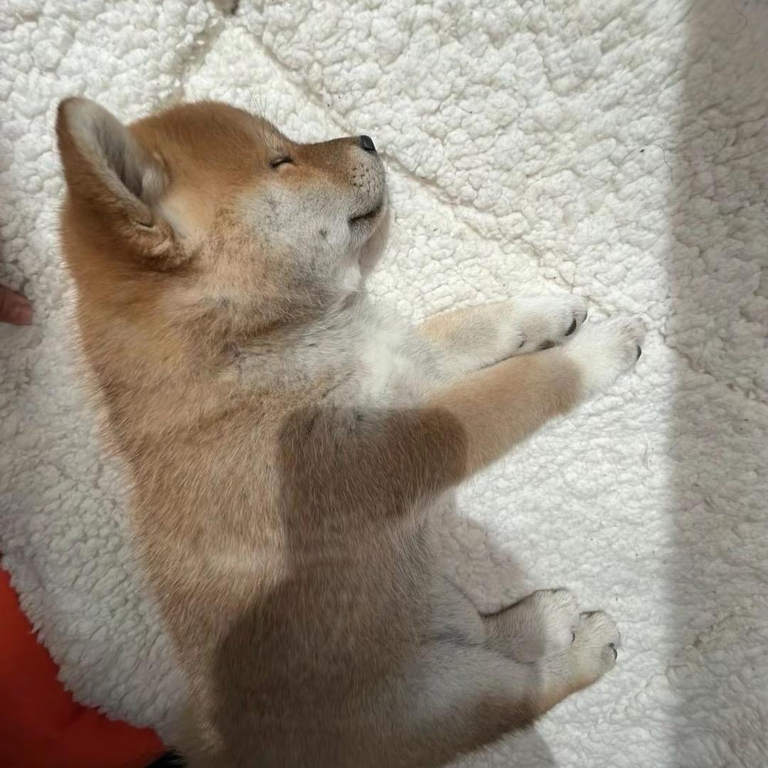 off