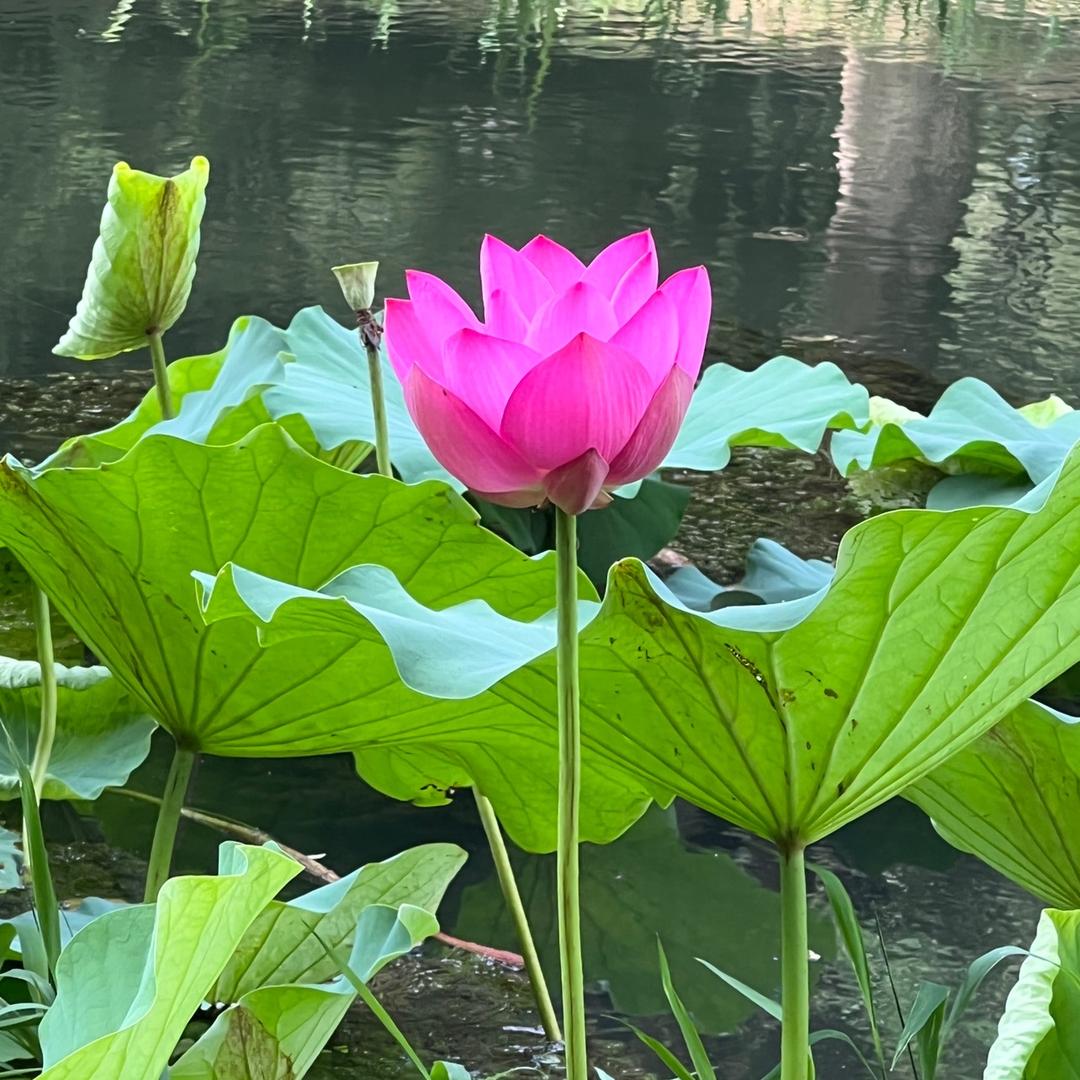 王永让
