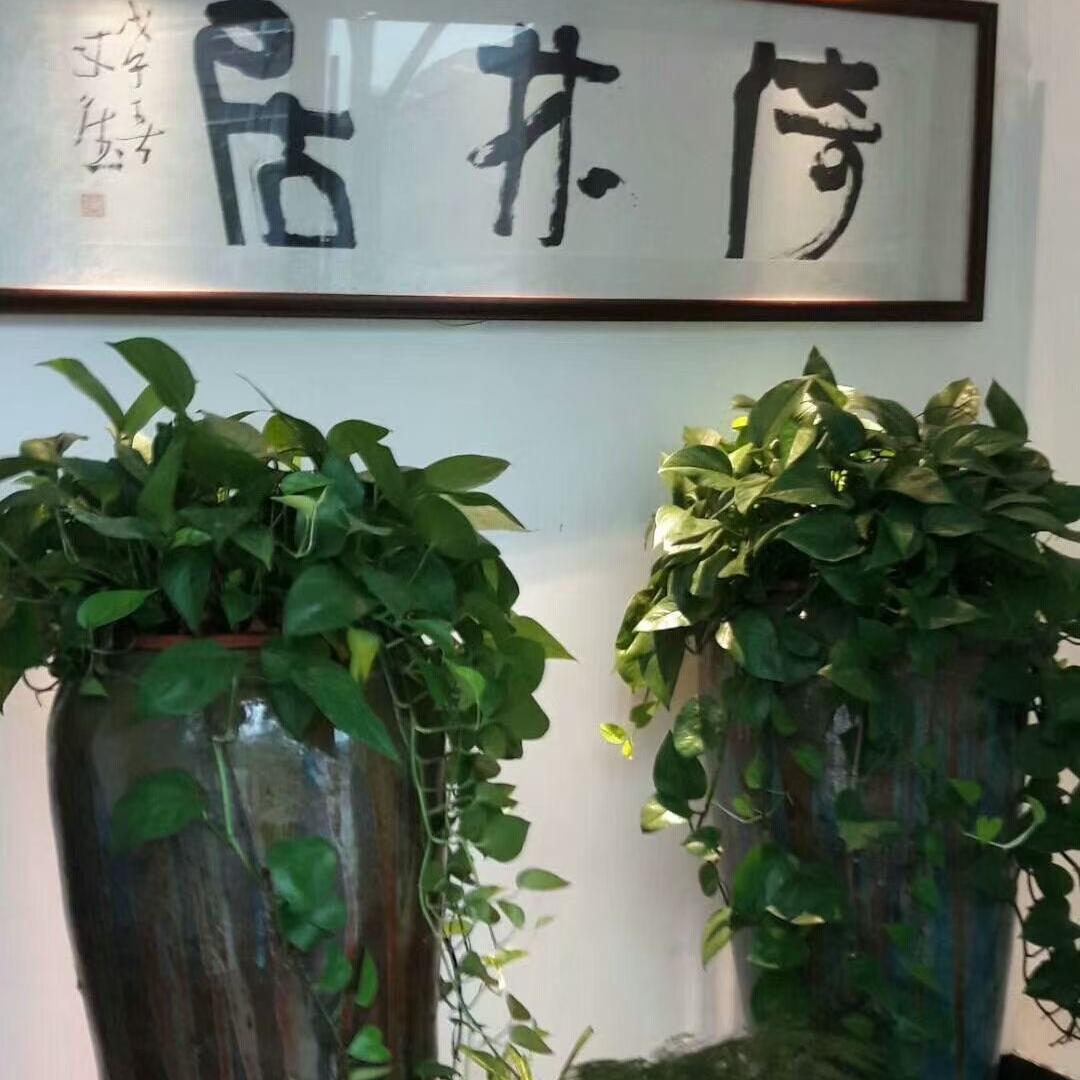 倚林居书画