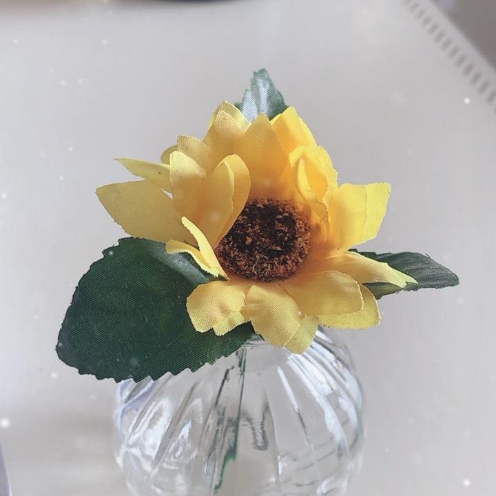 啥都会美食