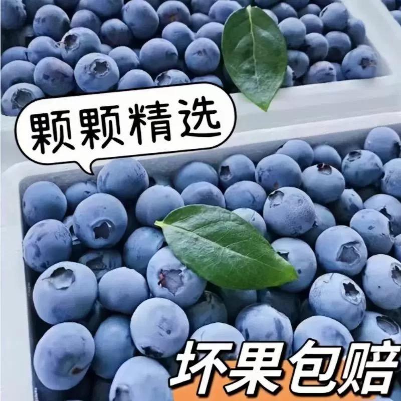 拉拉拉拉