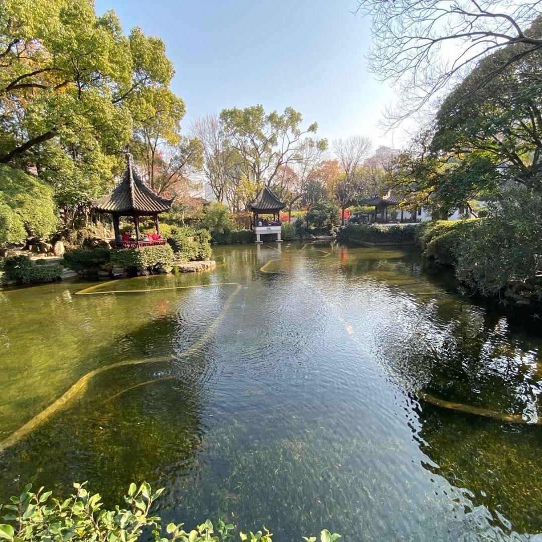 大伟治水