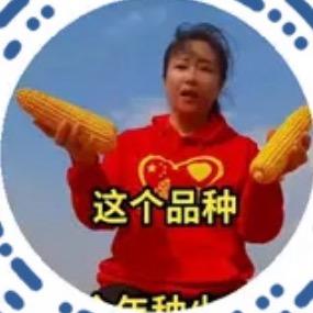 紫杆增产王🔥🔥🔥