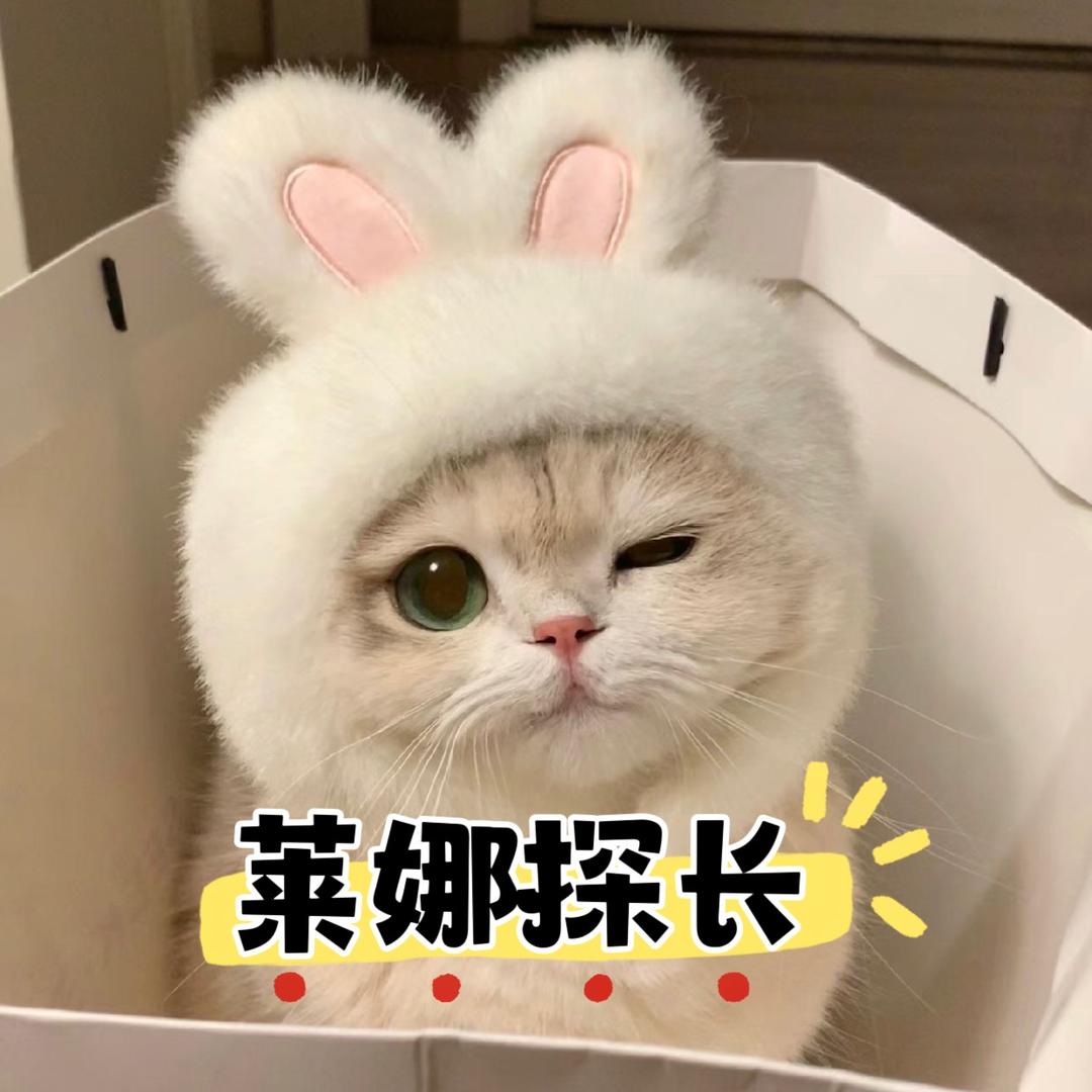 莱娜探长