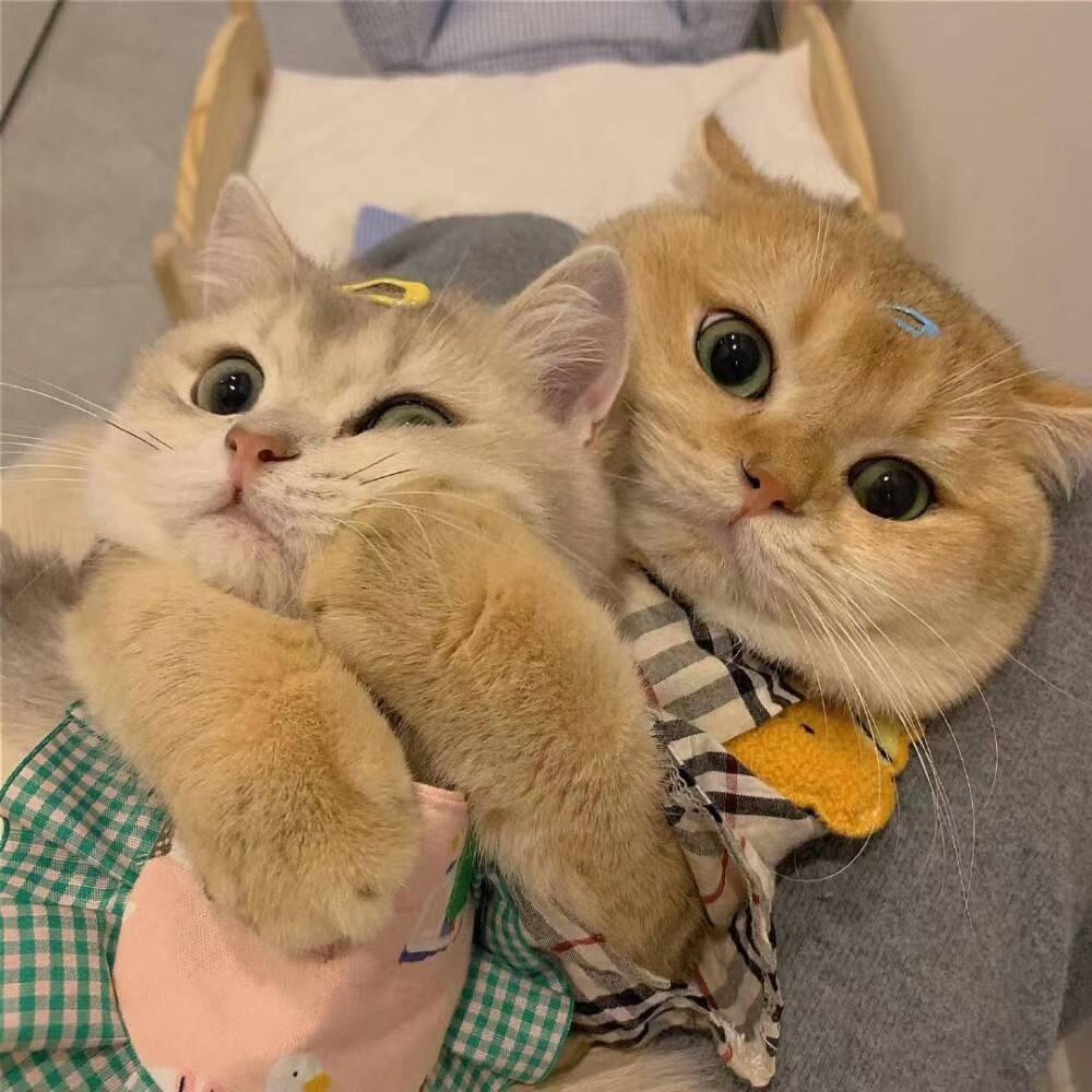 梦想成真💖