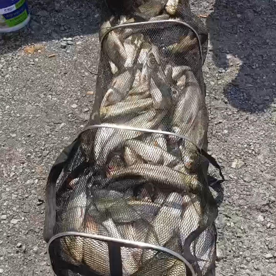 ☣️永卟🔱言败☣️