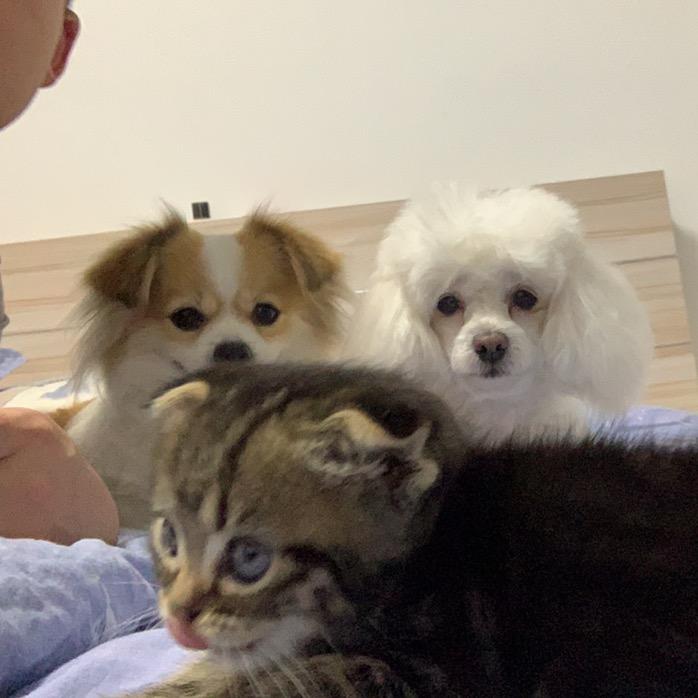 孙淑芬和孙奶豆