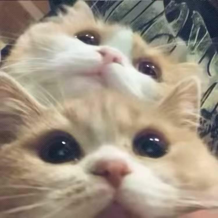 💕