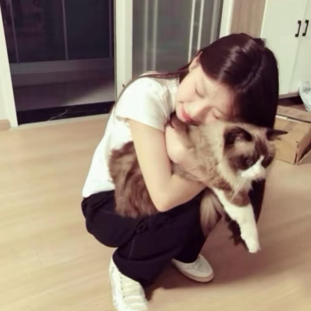 .ccchen